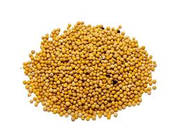 Mustard Seed 100g (সাদা - সরিষা)